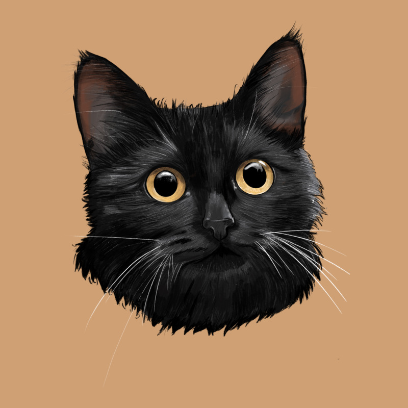 Bombay Cat Face Vintage Tee by LillyAllenDesigns | Teevron