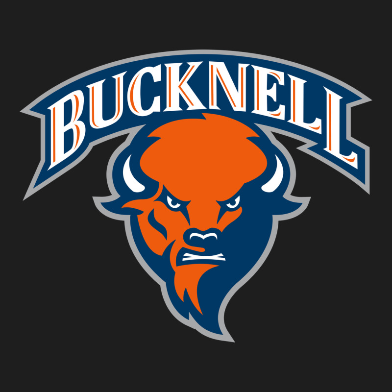 Bucknell Classic Tee by linhVisuals | Teevron