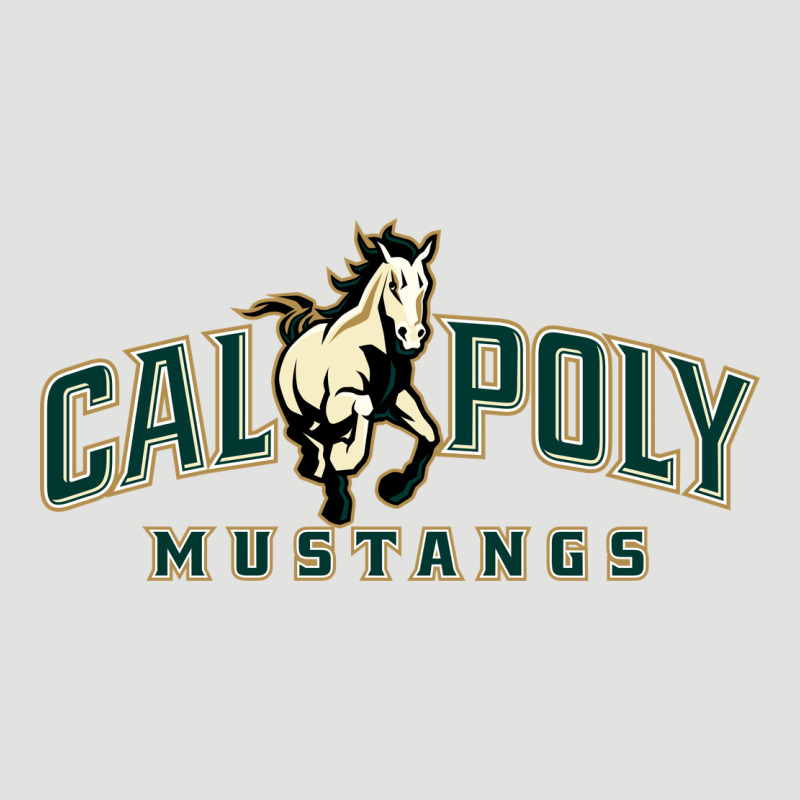 Cal Poly Classic Tee by linhVisuals | Teevron