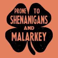 Prone To Shenanigans And Malarkey Classic Tee | Teevron