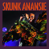 Skunk Anansie Classic Tee | Teevron