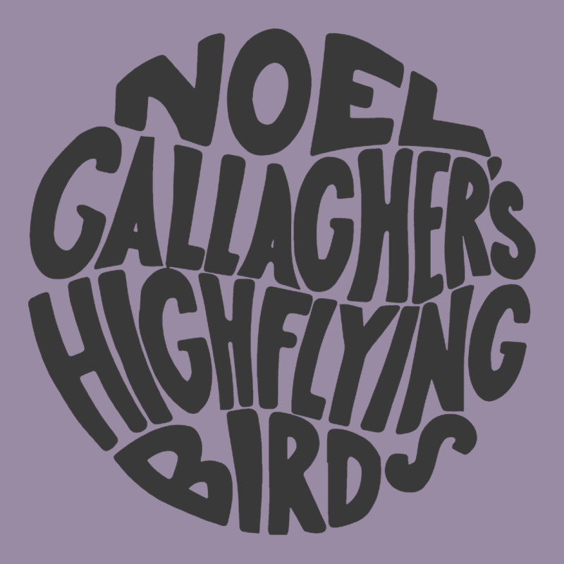 Noel Gallagher's High Flying Birds Classic Classic Tee by linhVisuals | Teevron