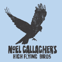 Noel Gallagher's High Flying Birds Classic Classic Tee | Teevron
