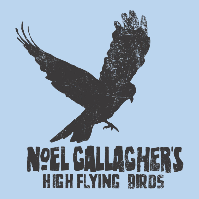 Noel Gallagher's High Flying Birds Classic Classic Tee by linhVisuals | Teevron