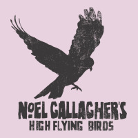 Noel Gallagher's High Flying Birds Classic Classic Tee | Teevron