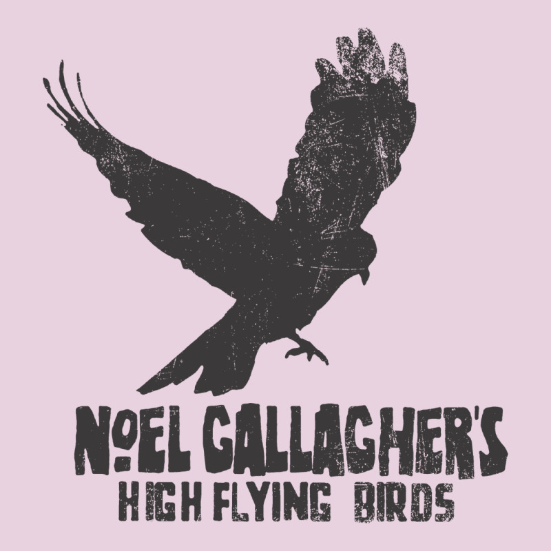 Noel Gallagher's High Flying Birds Classic Classic Tee by linhVisuals | Teevron