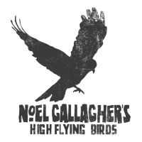 noel gallagher's high flying birds classic | Teevron