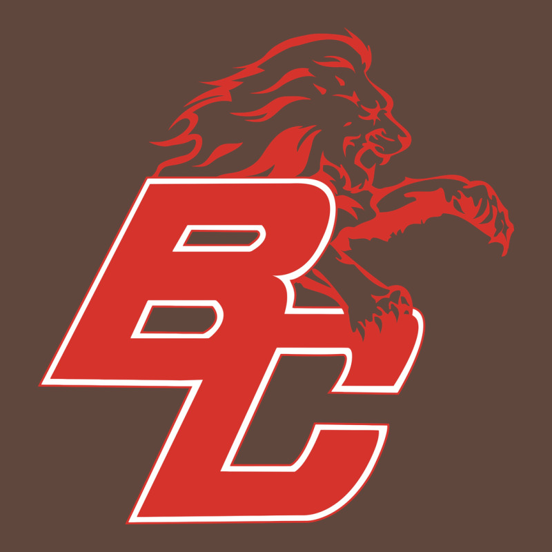 Boyd County High School Baseball Classic Tee by linhVisuals | Teevron