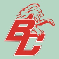 Boyd County High School Baseball Classic Tee | Teevron