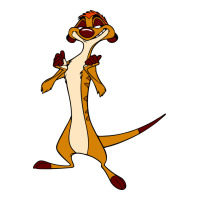 Timon Funny | Teevron