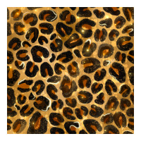 leopard seamless pattern | Teevron