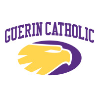 st. theodore guerin high school | Teevron