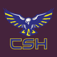 Cold Springs High School Classic Tee | Teevron
