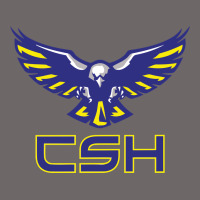 Cold Springs High School Classic Tee | Teevron