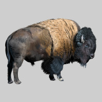 Bison Buffalo Premium Tee | Teevron