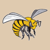 The-alabama-state-hornets Classic Tee | Teevron
