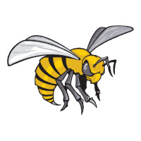 the-alabama-state-hornets | Teevron