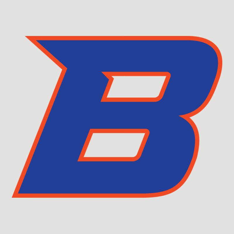New-boise-state Classic Tee by linhVisuals | Teevron