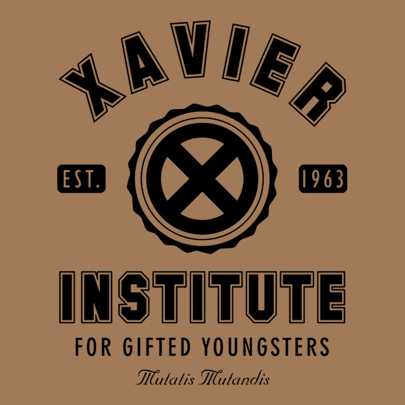 Xavier Institute Classic Tee by linhVisuals | Teevron