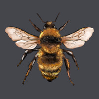 Bee Long Sleeve Tee | Teevron