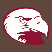 Lock Haven Bald Eagles Classic Tee | Teevron