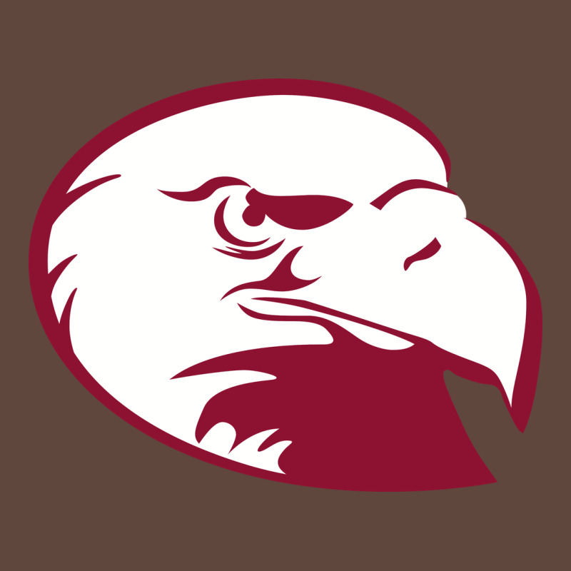 Lock Haven Bald Eagles Classic Tee by linhVisuals | Teevron