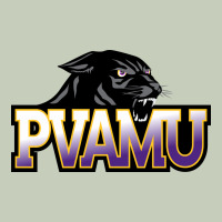 Prairie View A&m Panthers And Lady Panthers Rectangle Patch Classic Tee | Teevron