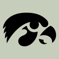 University Of Iowa Athletics Teams Gear Classic Tee | Teevron