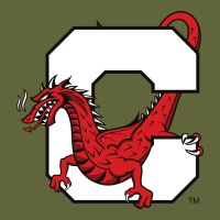 Suny Cortland Red Dragons Classic Tee | Teevron