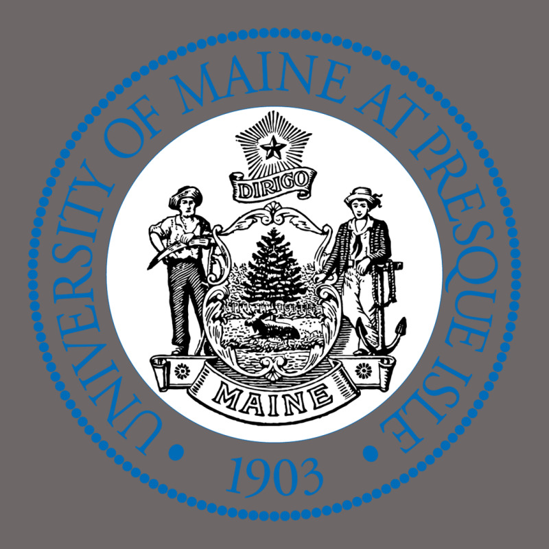 University Of Maine At Presque Isle Classic Tee by linhVisuals | Teevron