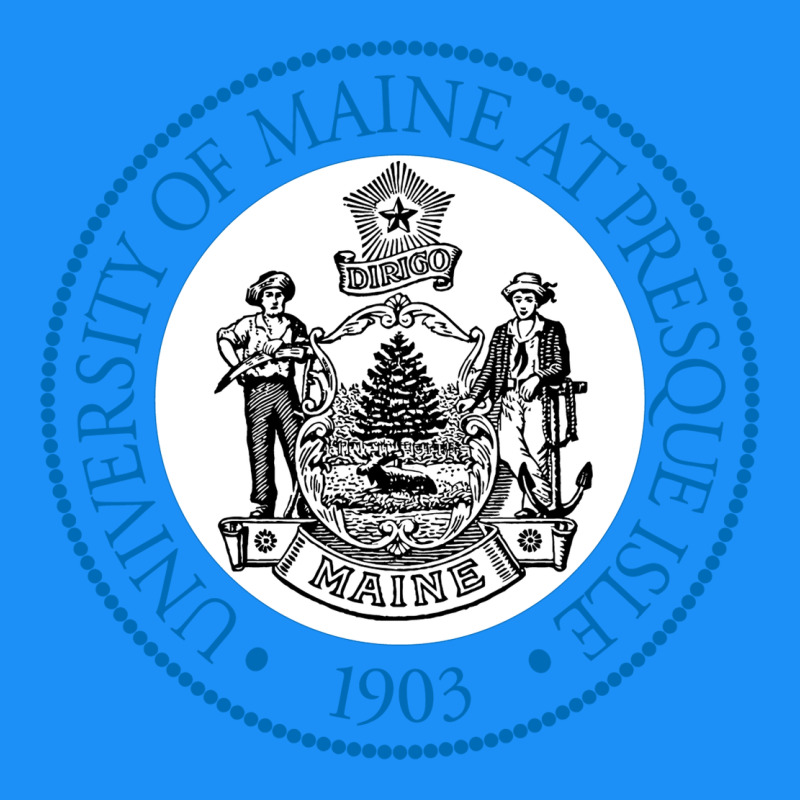 University Of Maine At Presque Isle Classic Tee by linhVisuals | Teevron