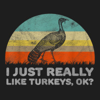 Funny I Just Really Like Turkeys Thanksgiving Classic Tee | Teevron