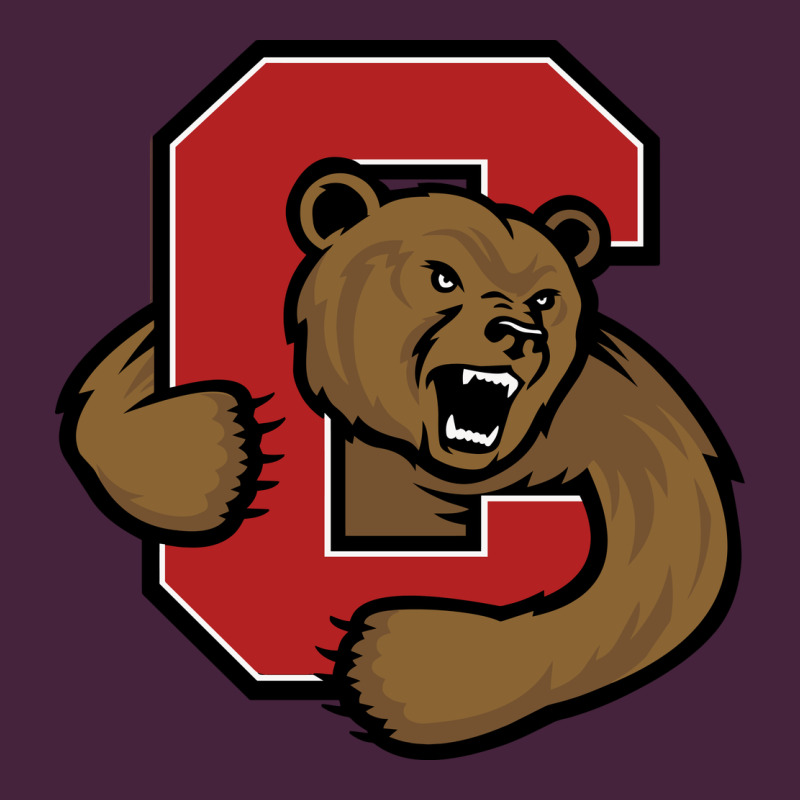 Cornell Big Red Classic Tee by linhVisuals | Teevron
