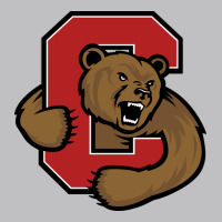 Cornell Big Red Classic Tee | Teevron