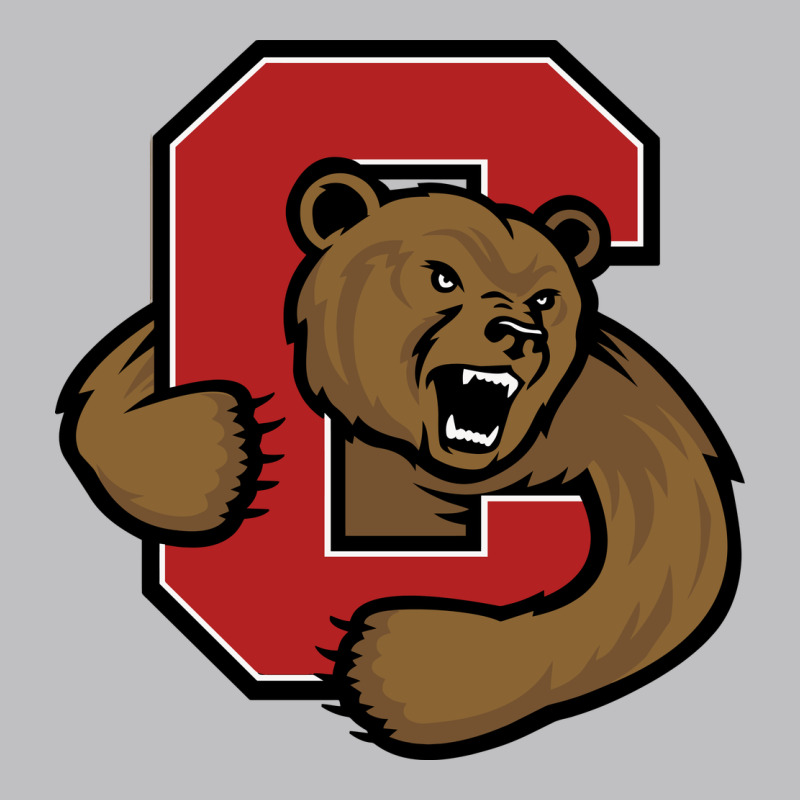 Cornell Big Red Classic Tee by linhVisuals | Teevron
