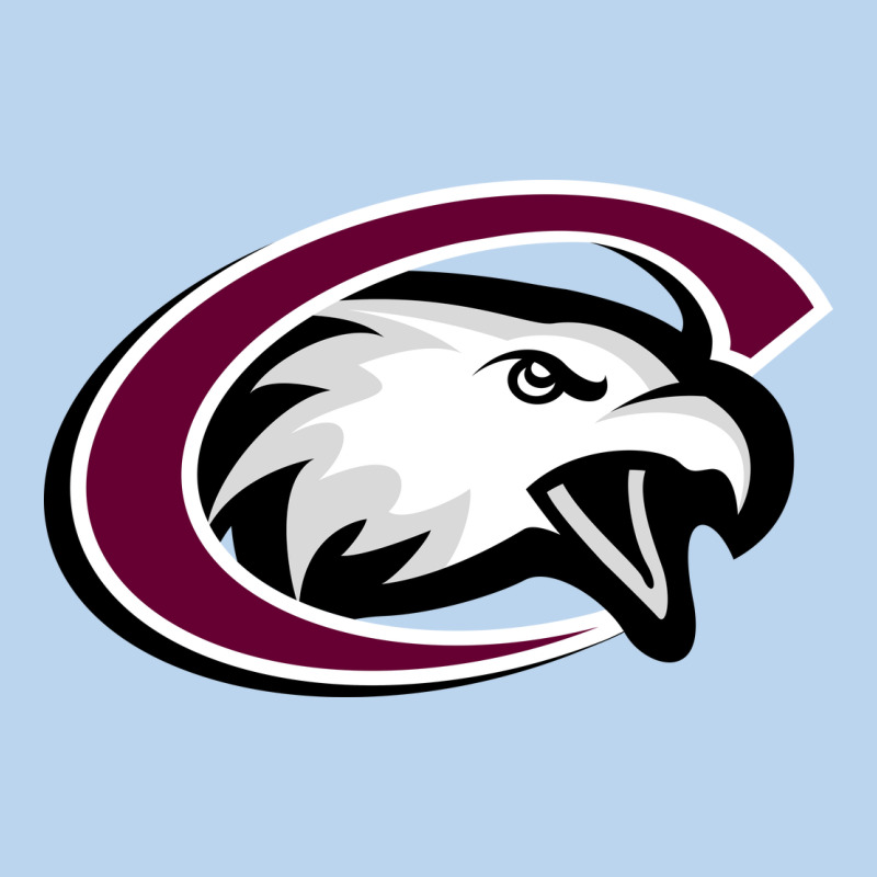 Chadron State Eagles Classic Tee by linhVisuals | Teevron