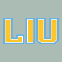 Liu Gold Wordmark Classic Tee | Teevron