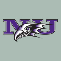 Niagara Purple Eagles Classic Tee | Teevron