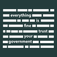 Everything Is Fine Trust Your Government Classic Tee | Teevron