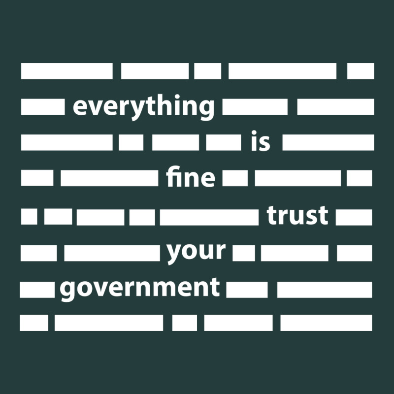 Everything Is Fine Trust Your Government Classic Tee by linhVisuals | Teevron