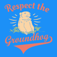 Respect The Groundhog Happy Groundhog Day Vintage Classic Tee | Teevron