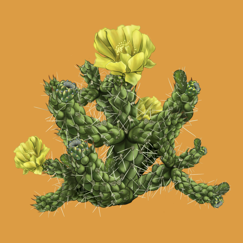 Whipple Cholla Cactus Urban Heavy Tee by LillyAllenDesigns | Teevron