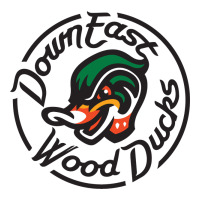 Down East Wood Ducks | Teevron