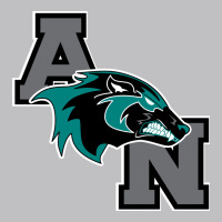 Aliso Niguel High School Classic Tee | Teevron