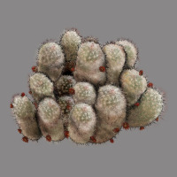 Brown Flowered Cactus Vintage Tee | Teevron