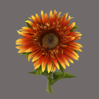 The  Sunflower Urban Heavy Tee | Teevron
