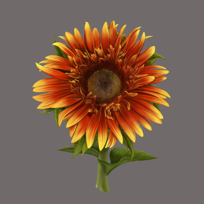 The  Sunflower Urban Heavy Tee by LillyAllenDesigns | Teevron