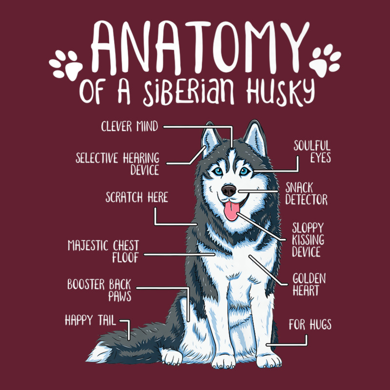 Anatomy Siberian Husky Dog Classic Tee by linhVisuals | Teevron