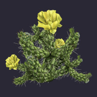 Whipple Cholla Cactus Vintage Tee | Teevron