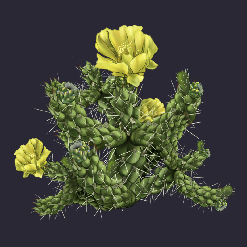 Whipple Cholla Cactus Vintage Tee by LillyAllenDesigns | Teevron
